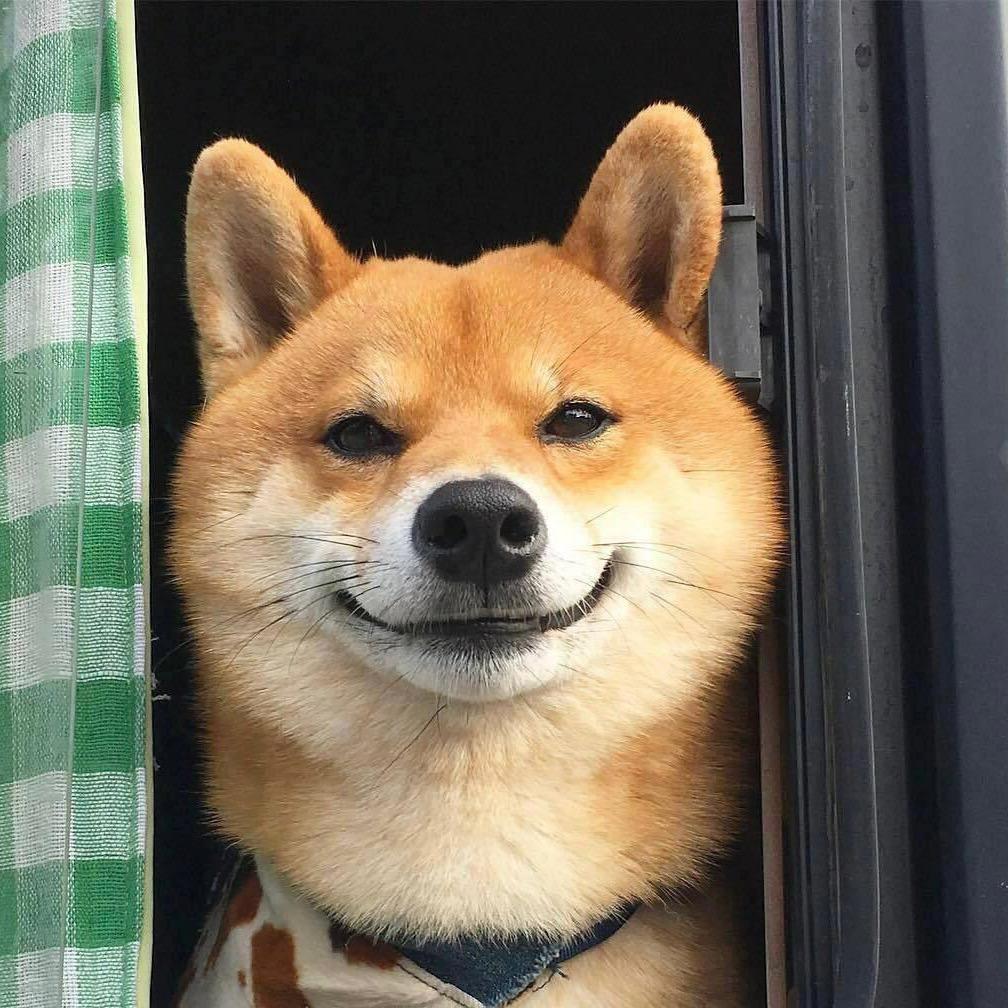 宝典