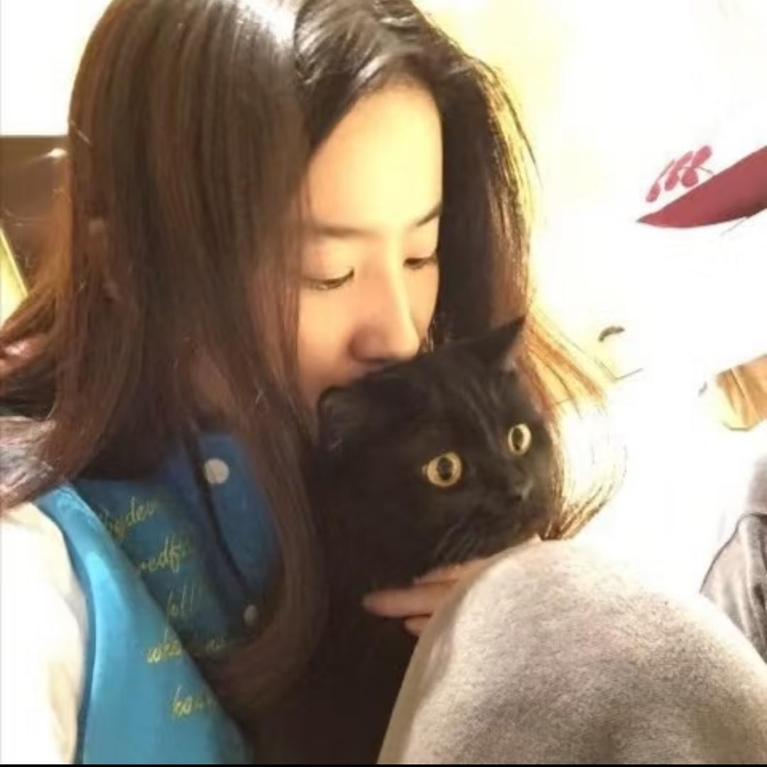 坚果