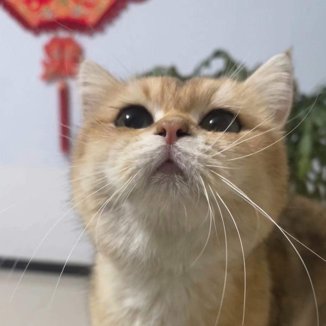 六月份