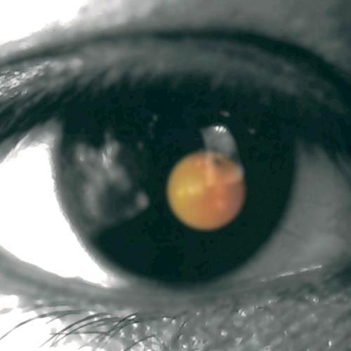 蝴蝶2002