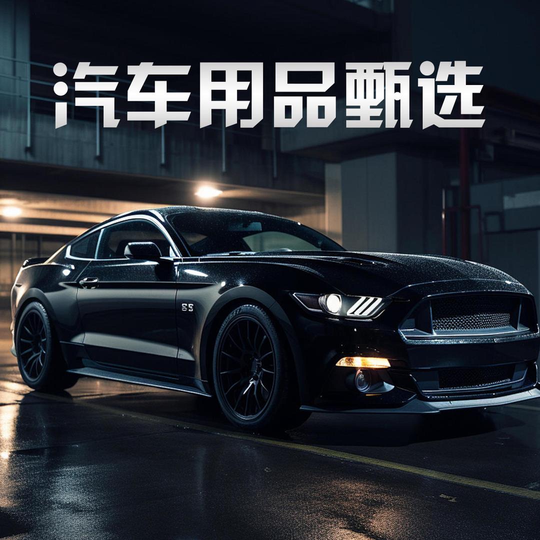 瑞沃汽车用品优选
