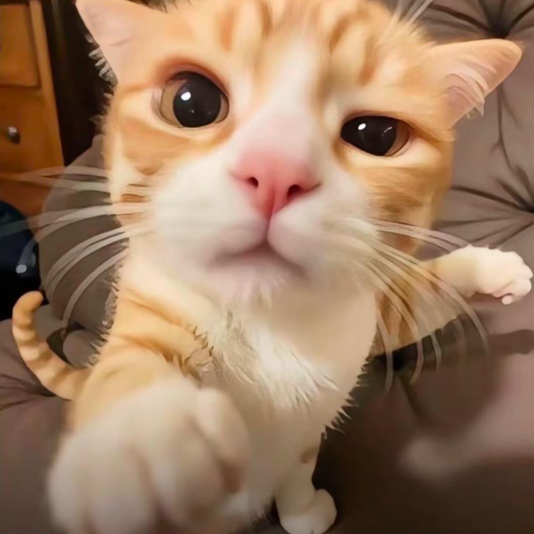 视奸我替我挡灾