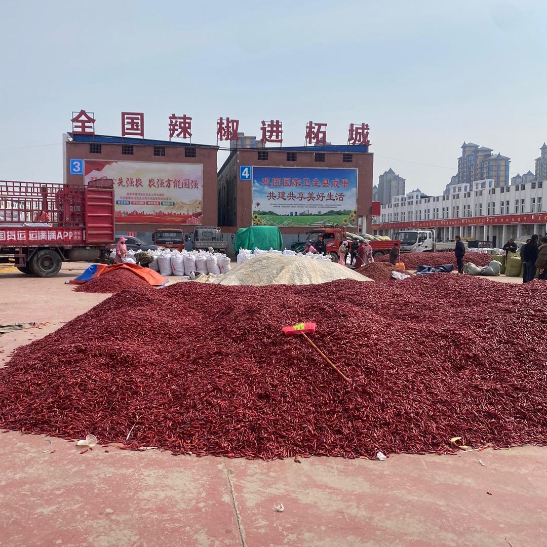 贾志杰19838561873