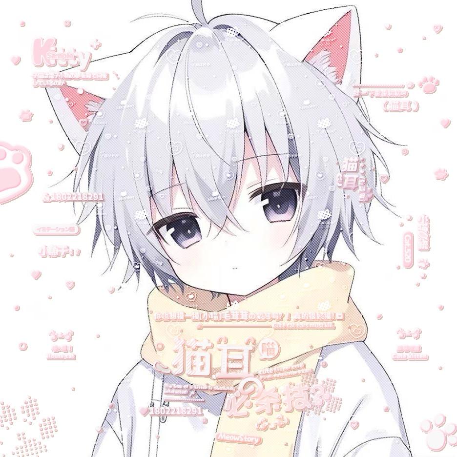 meowmeow·