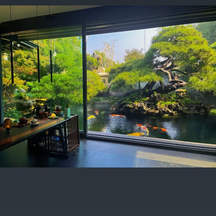 顺势而为