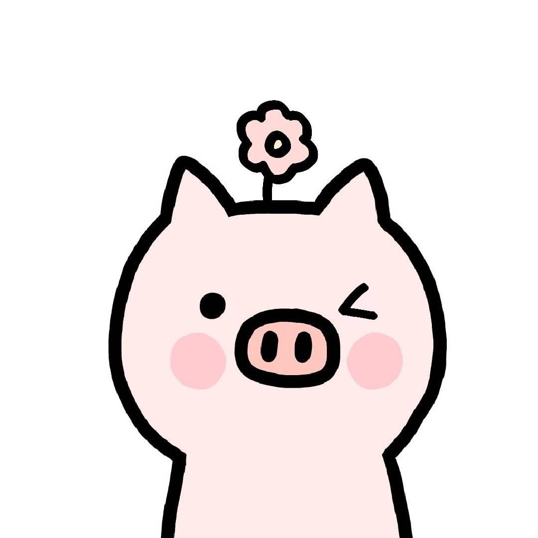 猪啪啪