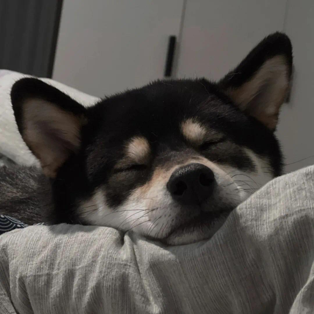Zzzzzz