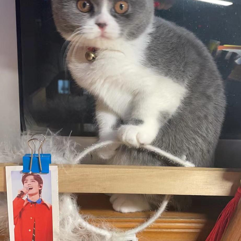 明天