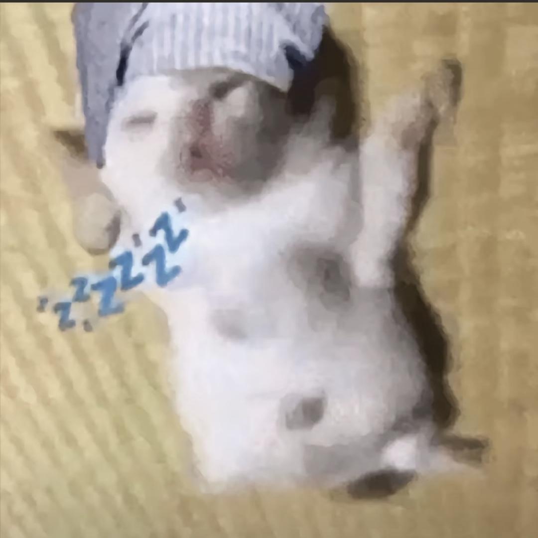 忧郁国潮炒饭