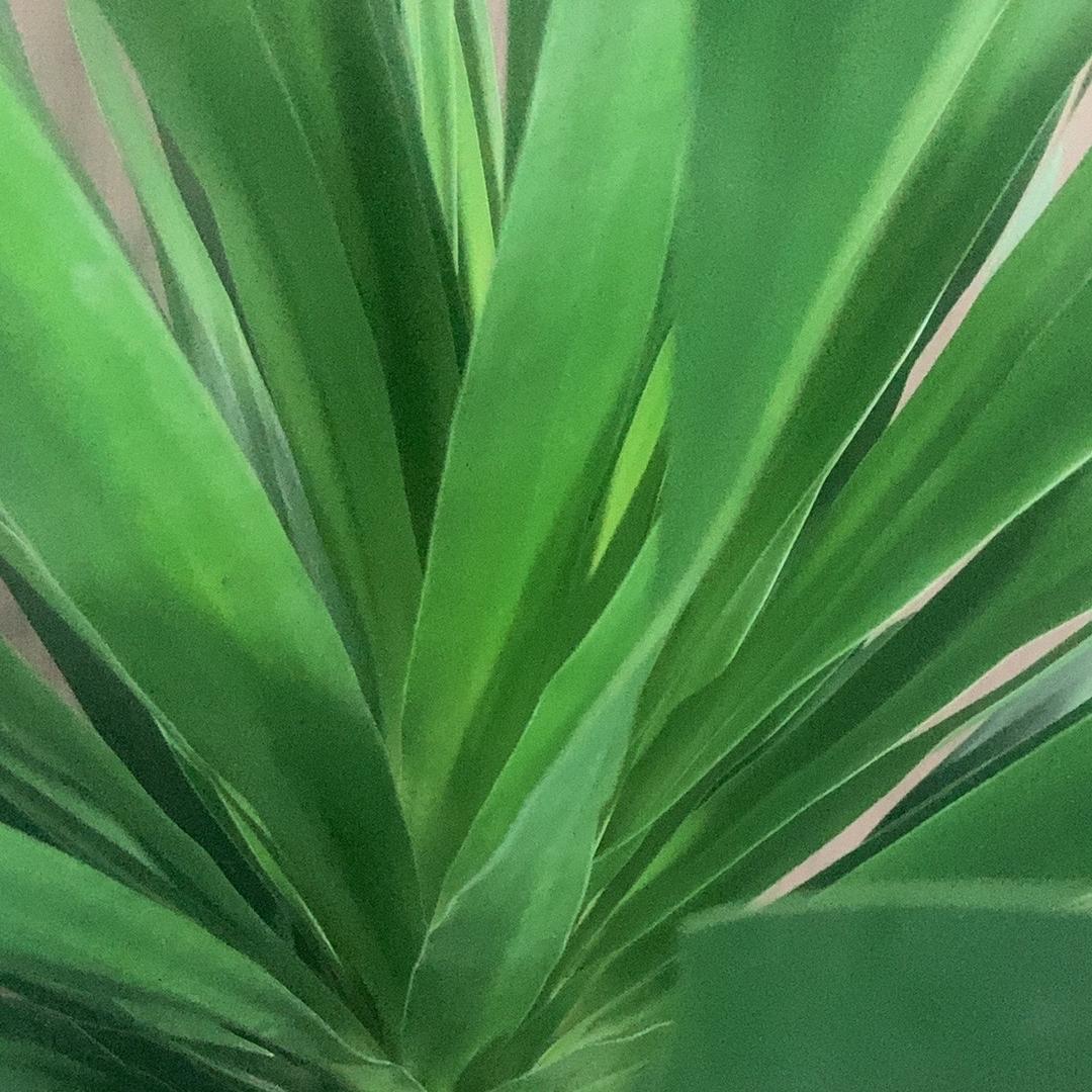 沅枰慧百货