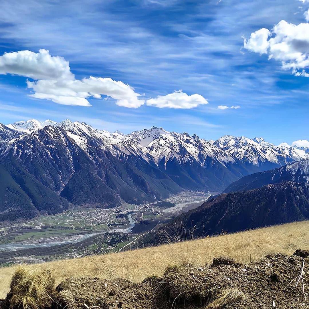 金玉💎（只为更好的品质）