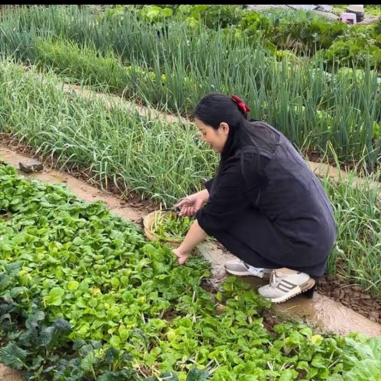 如意的小生活🥬