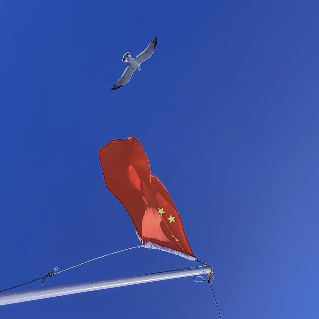 狼头