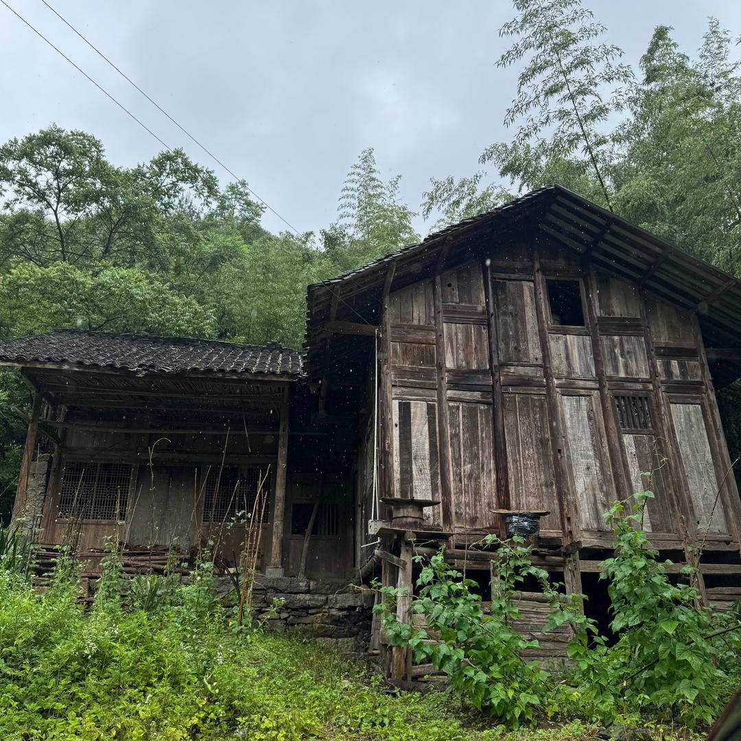 我在北山等你来