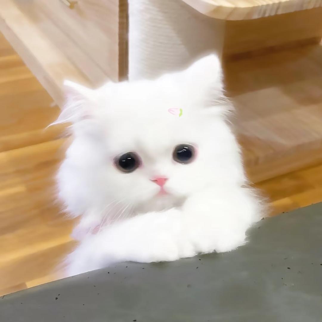我很困