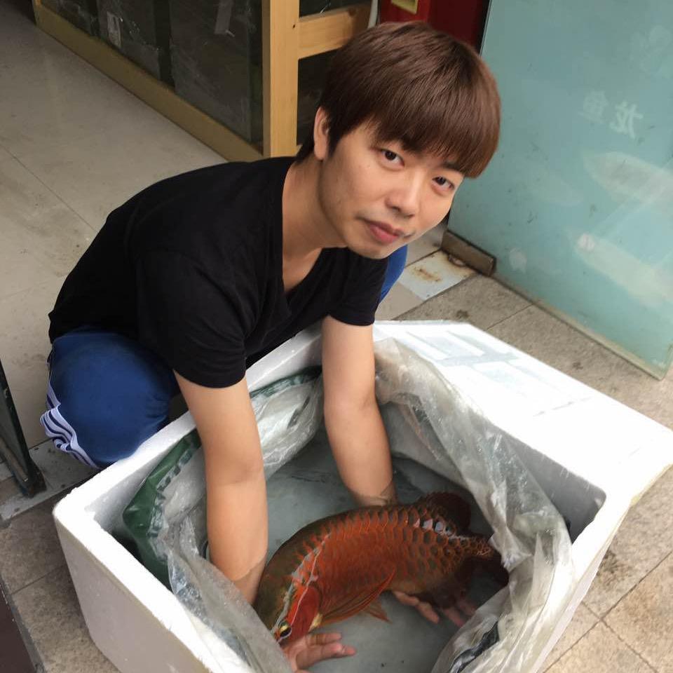 大遥遥 　　           ╲