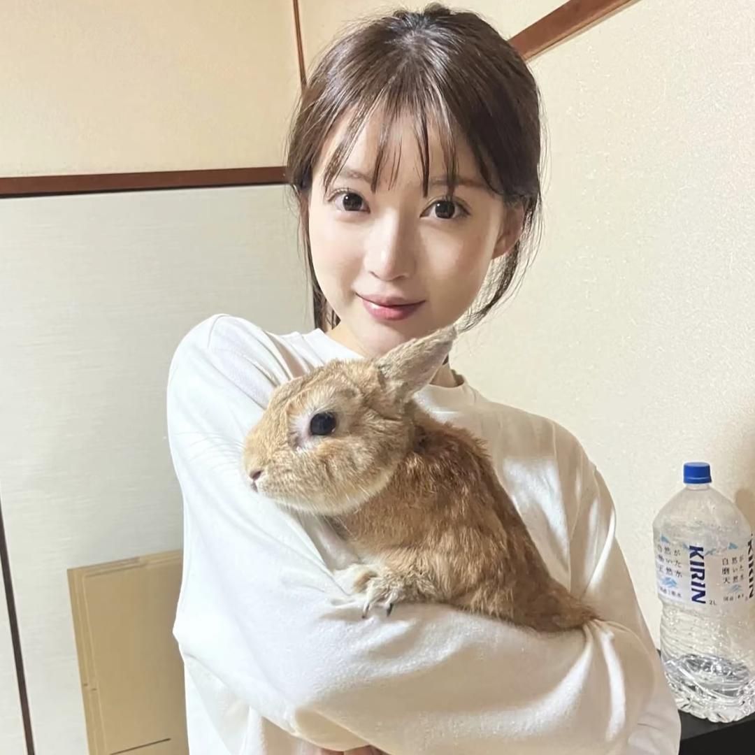 来蛋蛋