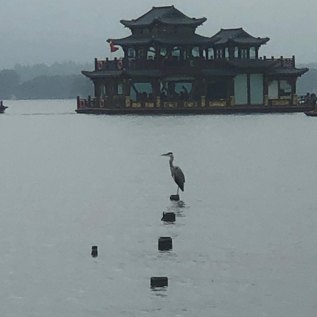 我是谁