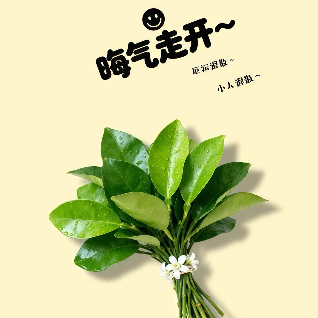 兜兜 ✨有糖