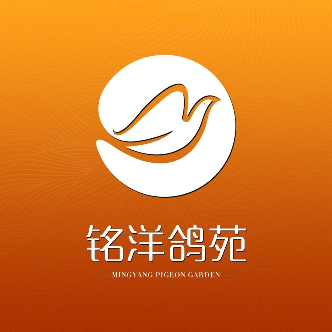 铭洋鸽苑(孔雀鱼)