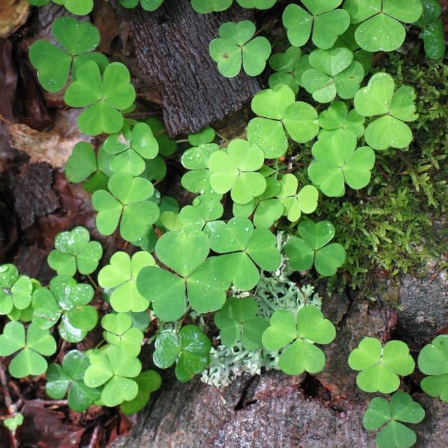 武汉四海一家电脑(启)
