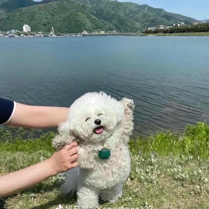 河头老街民宿