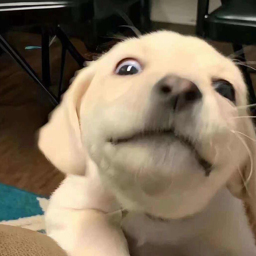 R’