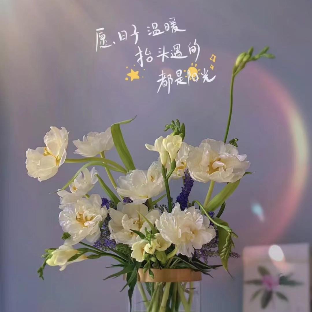 英语老师可可