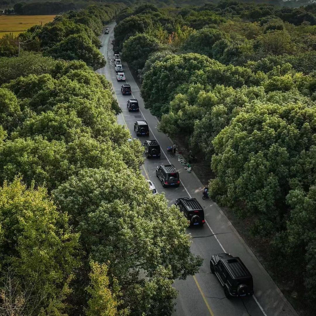 像雾像雨又像风。