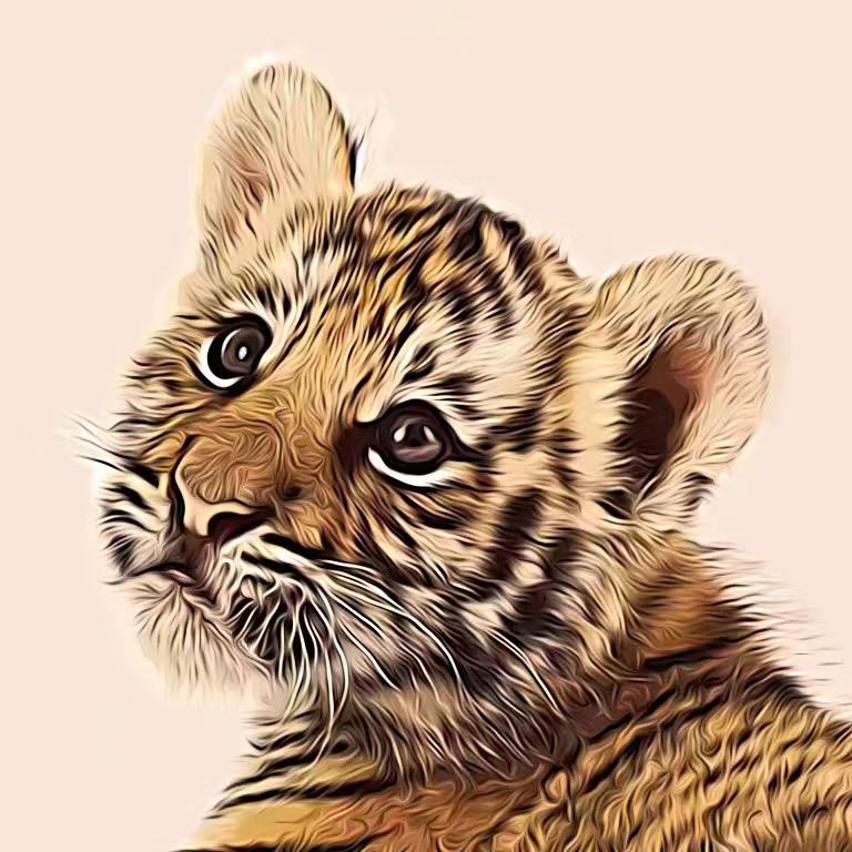 虎哥