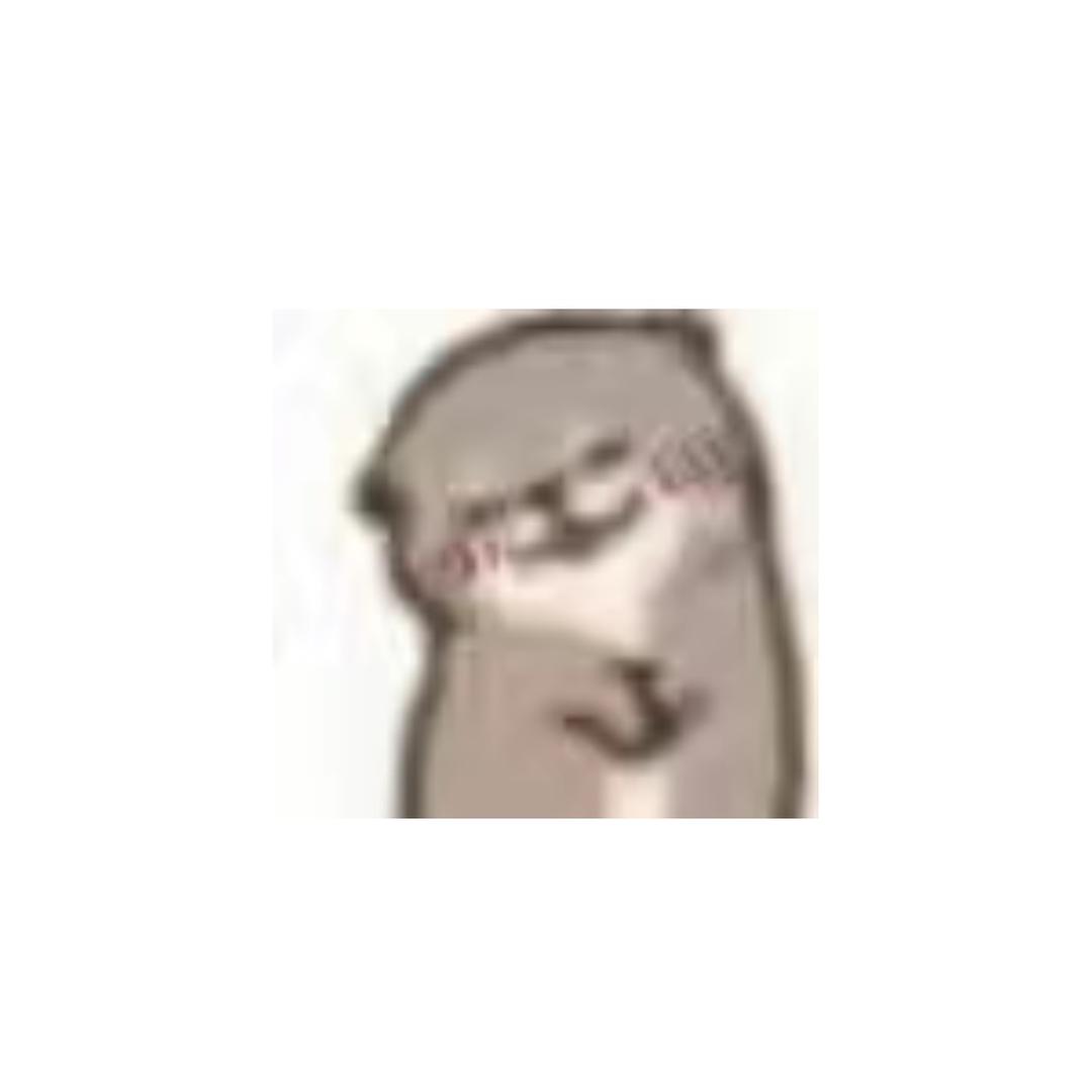 宝宝五号