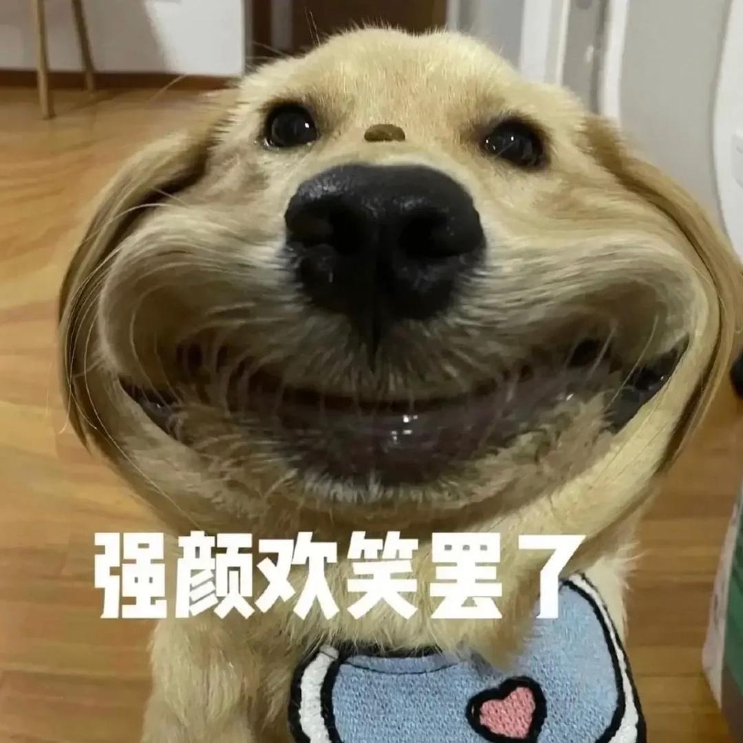 球球你了别@我