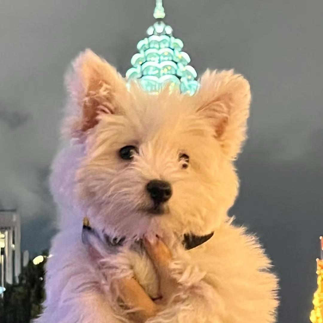 天天开心有可能
