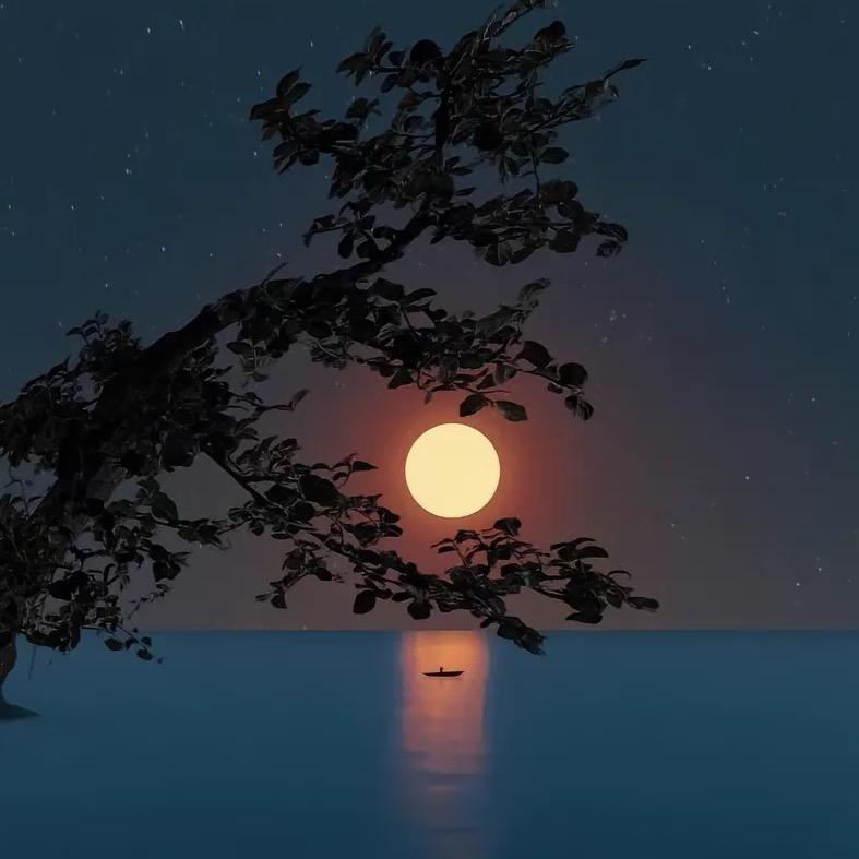 明明如月🌙