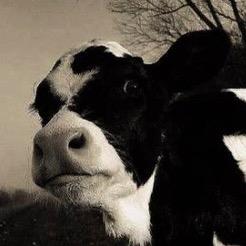 星锐体育 .赵教练（招生中）