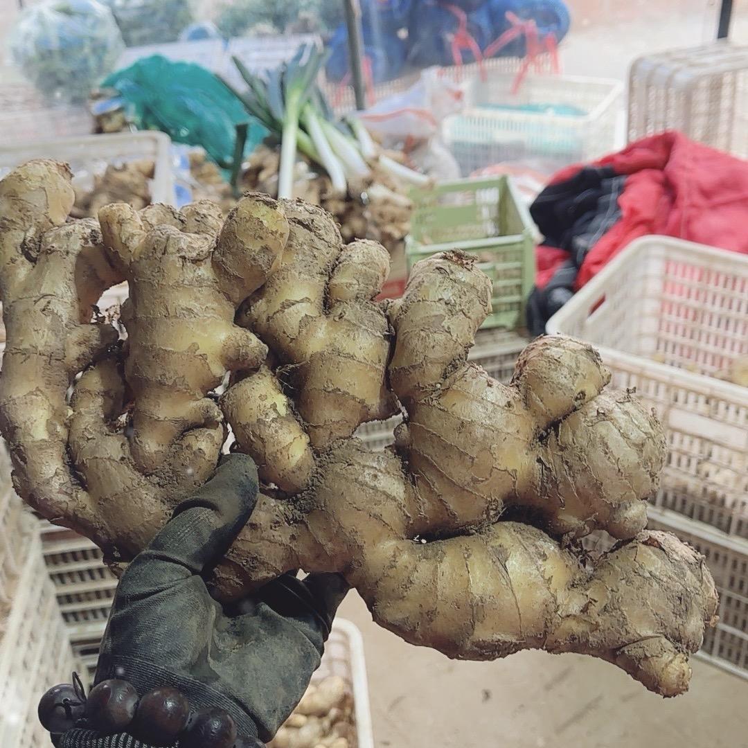 临沂翼恒姜业