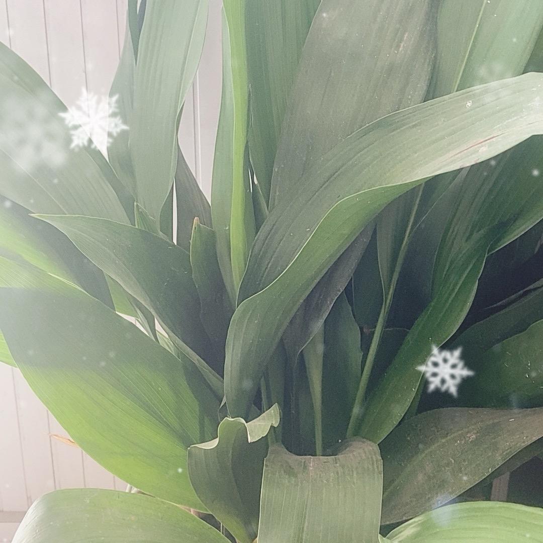 创业人