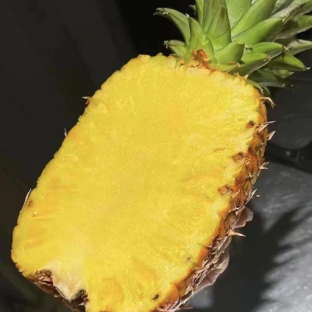 恬选鲜果拾农场03