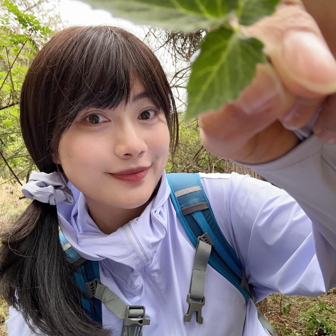 杨木木