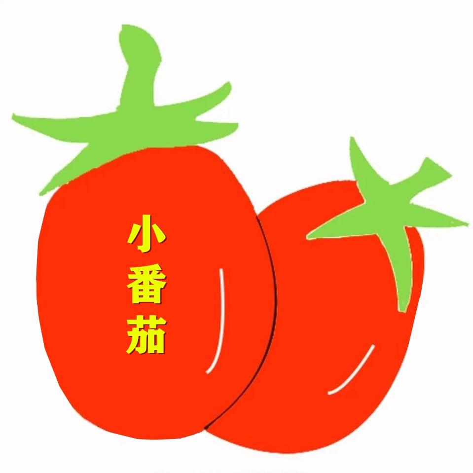 小番茄定制女装