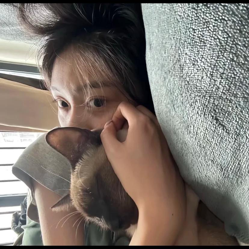 腼腆小美.