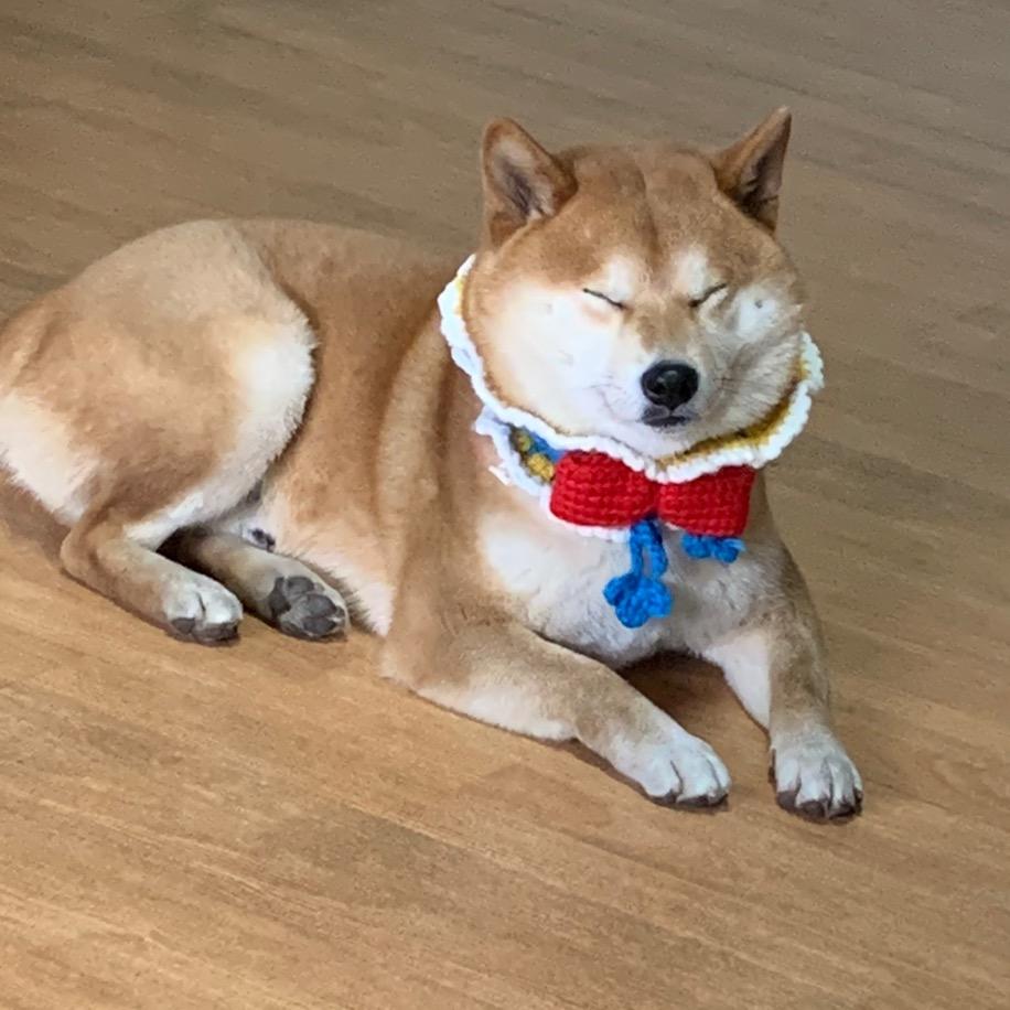 是我的老张啊头  像