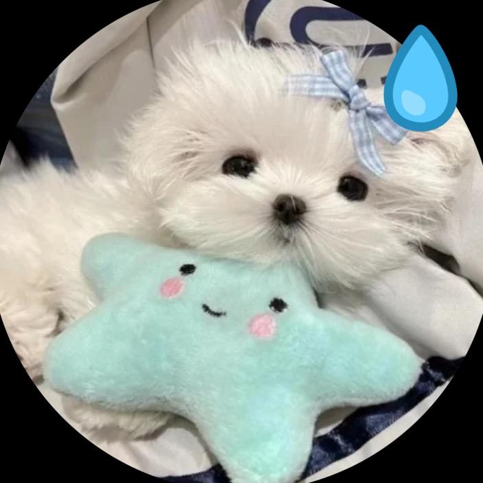 妙妙宝