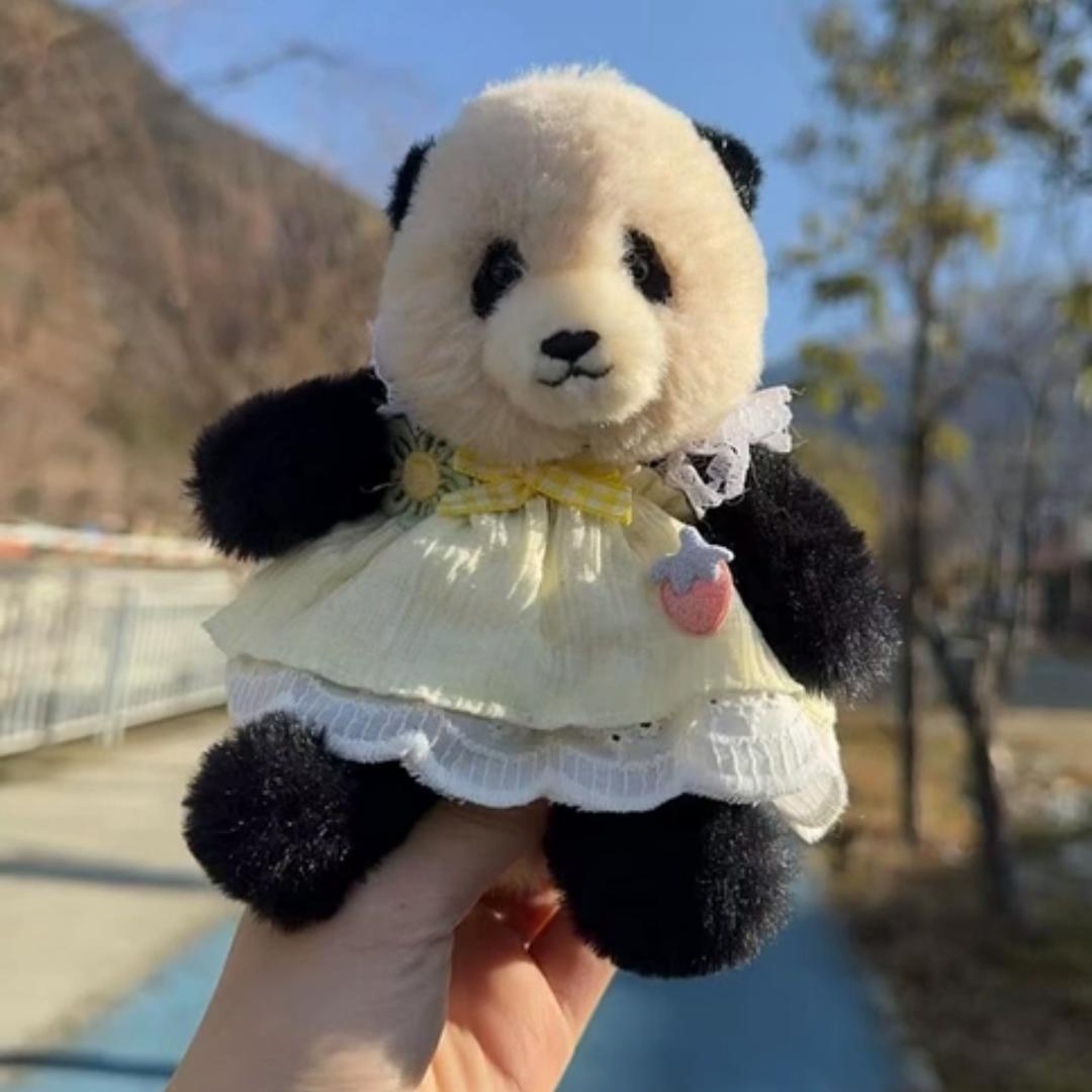 小公主福睿辉👸