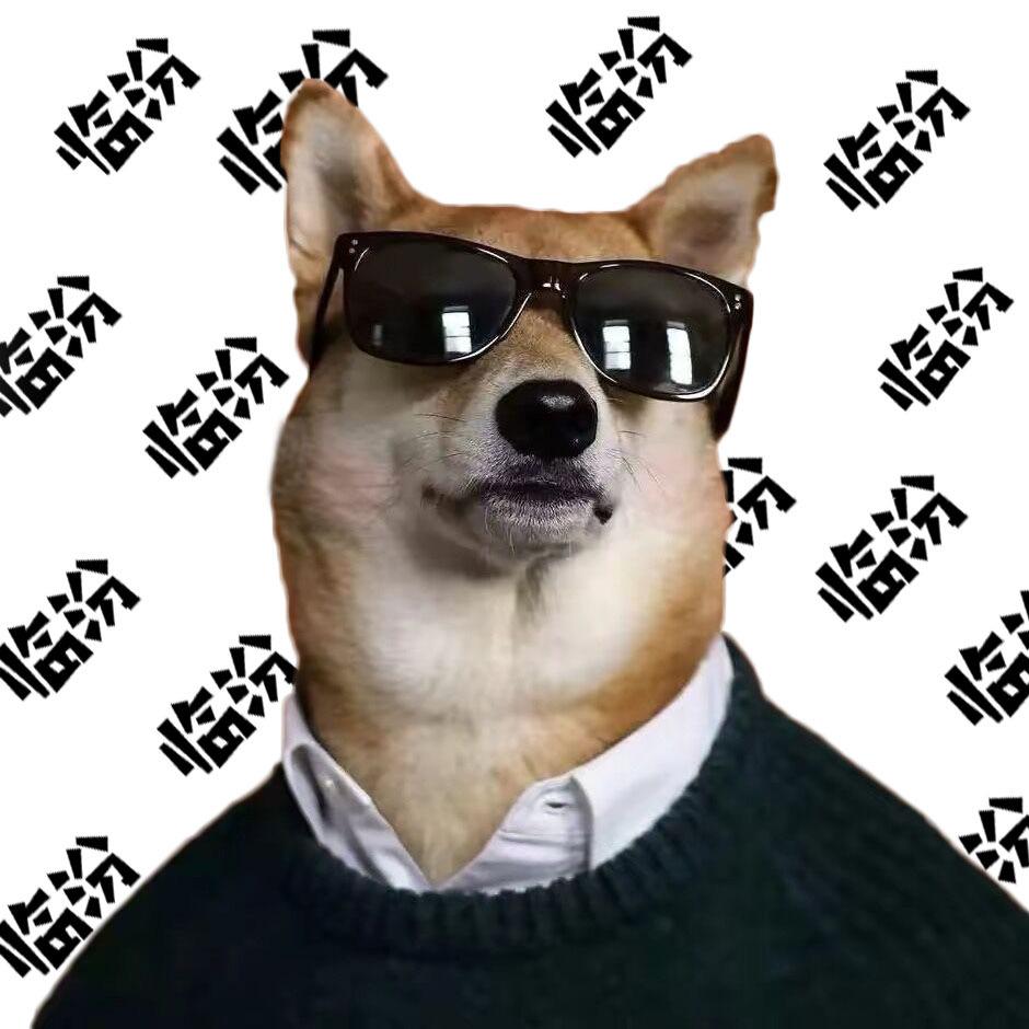 临汾乔大狗