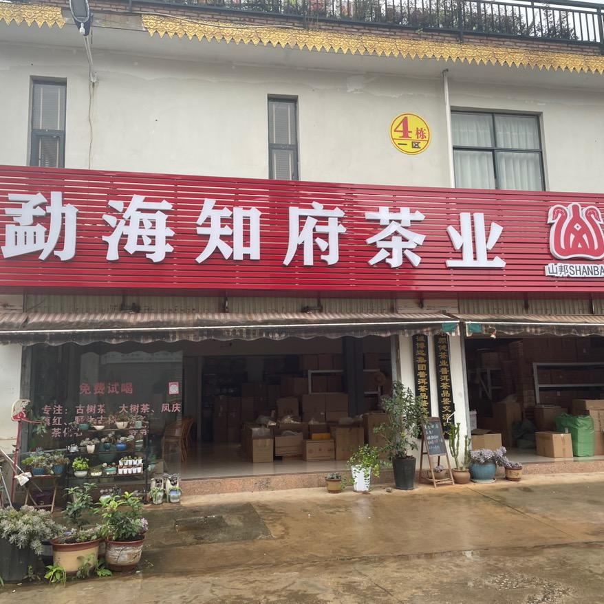 知府普洱茶