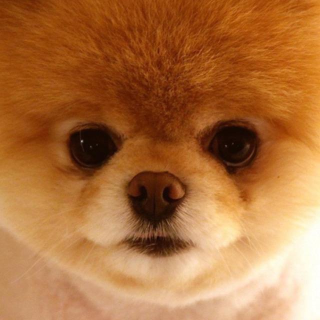 の