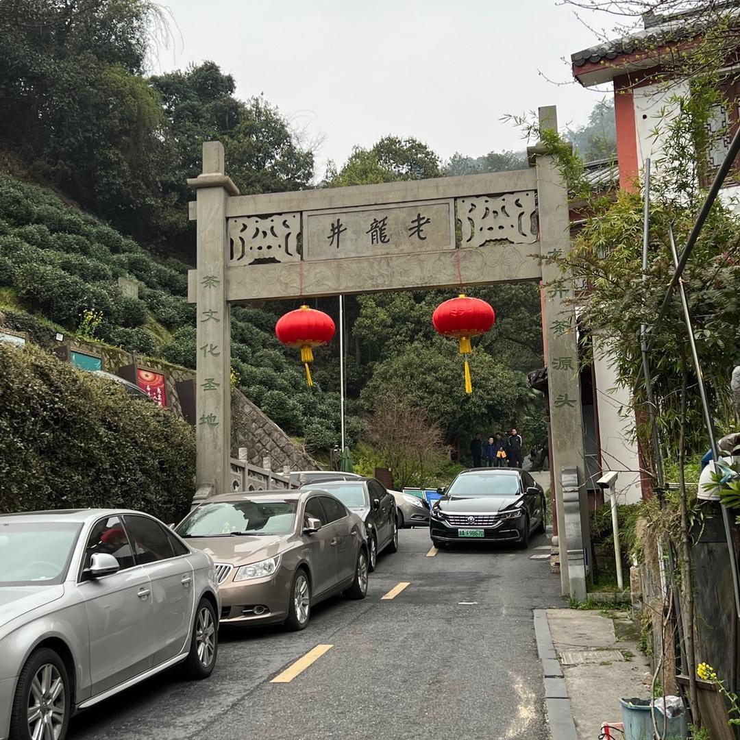 叽叽喳喳茶姐妹-龙井茶