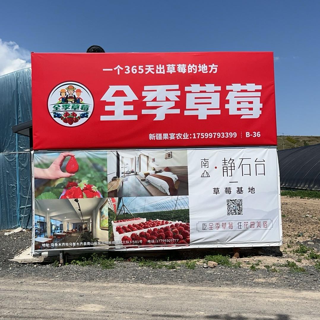 东北人在南山