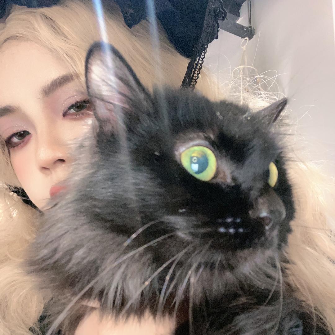 Lunatic CaT